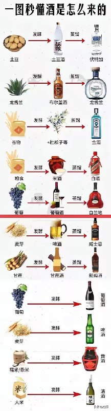 不喝酒，但是学习了