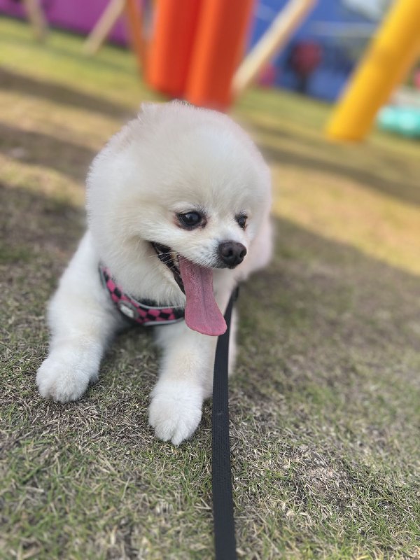 政治正确的话语之下，有很多给女性的陷阱 - 小红书我说过，年过30很喜欢看这类博主的分享