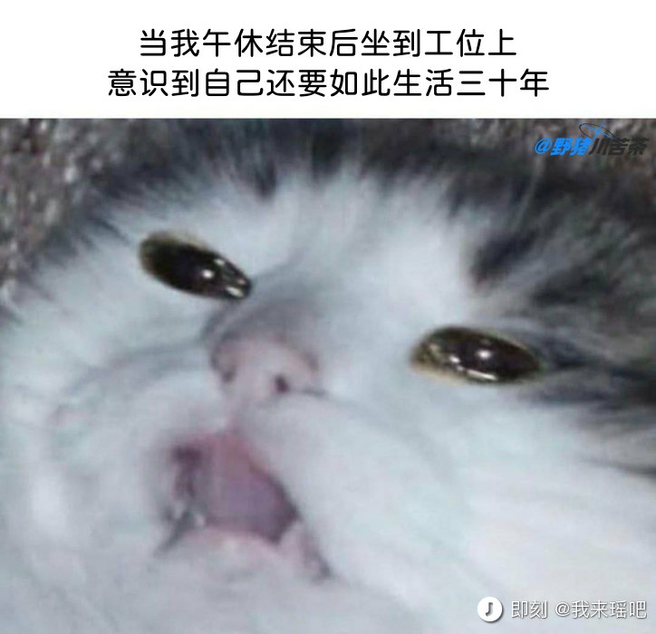 个人一些逐步滑入平庸乏味中年的迹象