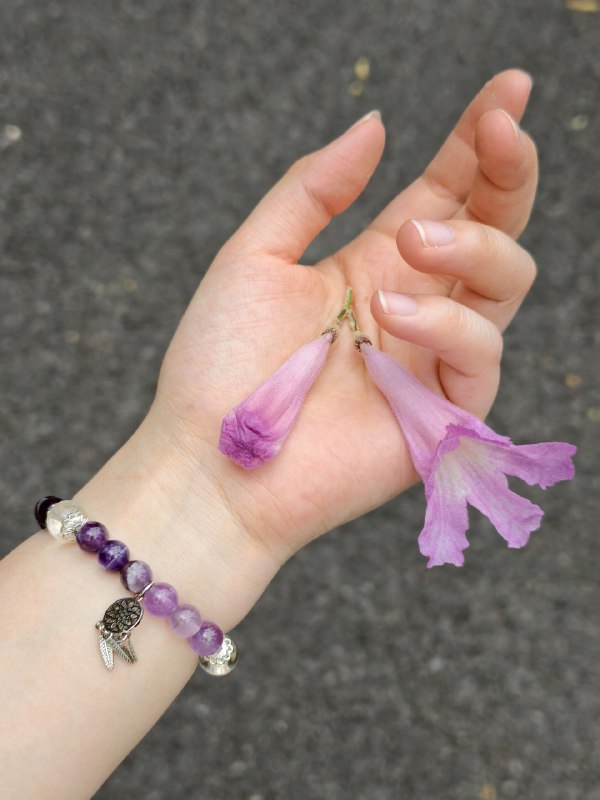 冰棒自由随记0420自由职业半年，经常有起死回生的经历，经常是在