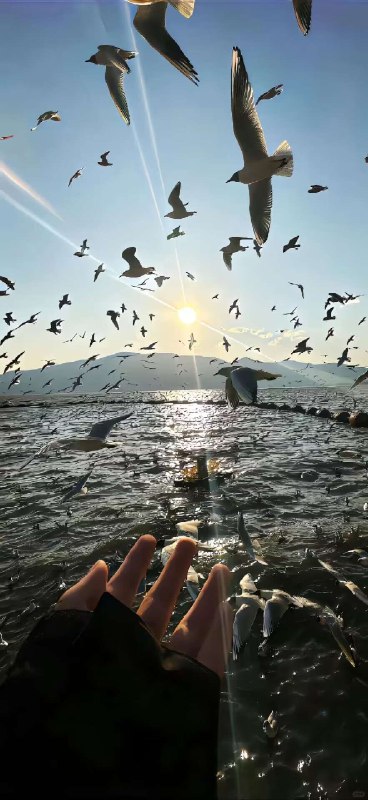 好的习惯，排名第一的是